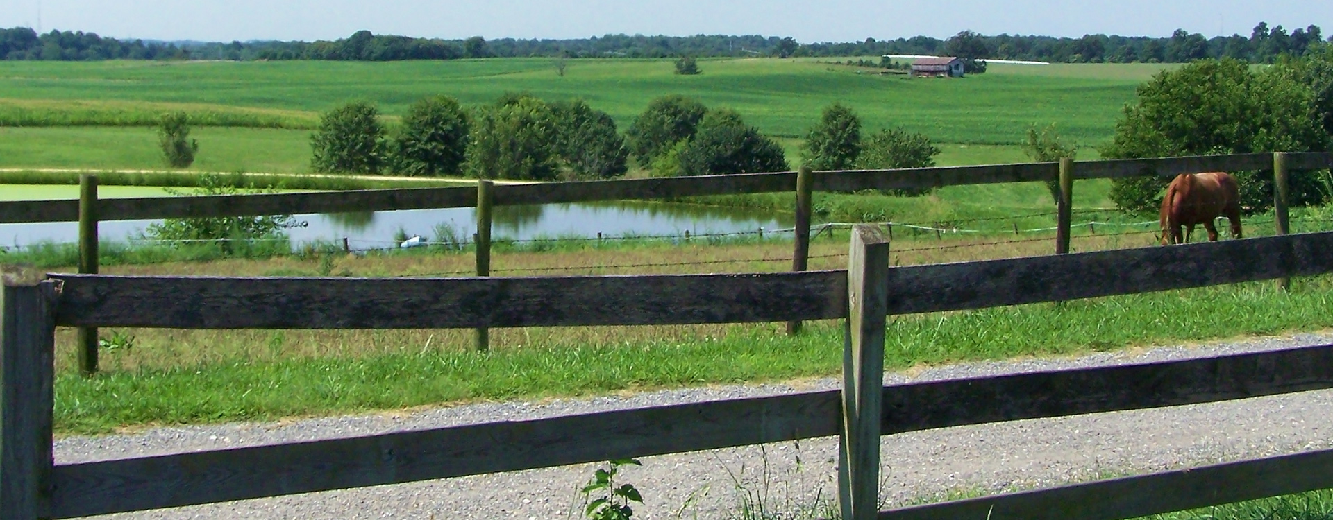 Dairy Farm in Anne Arundel County