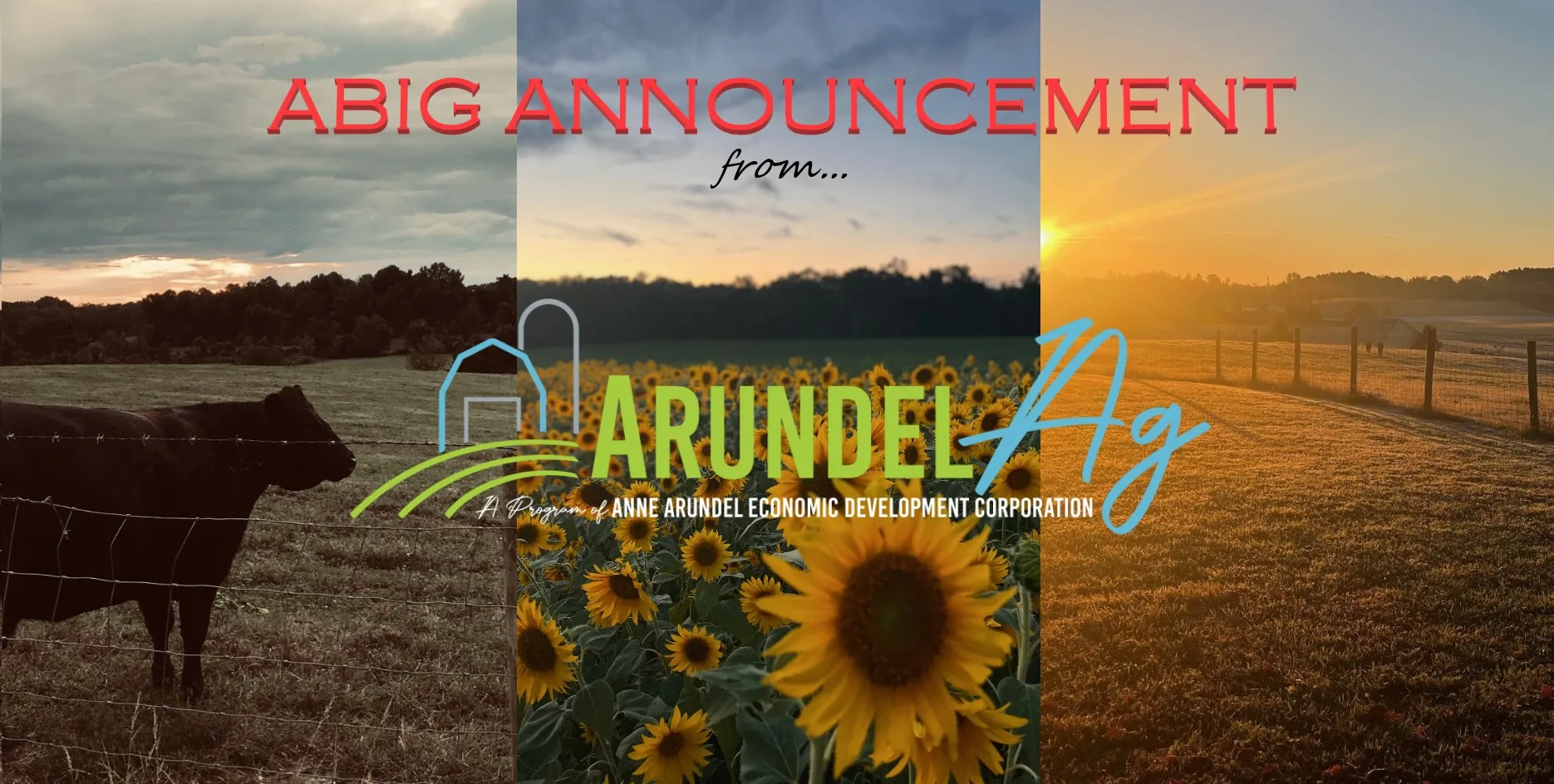ABIG Announcement