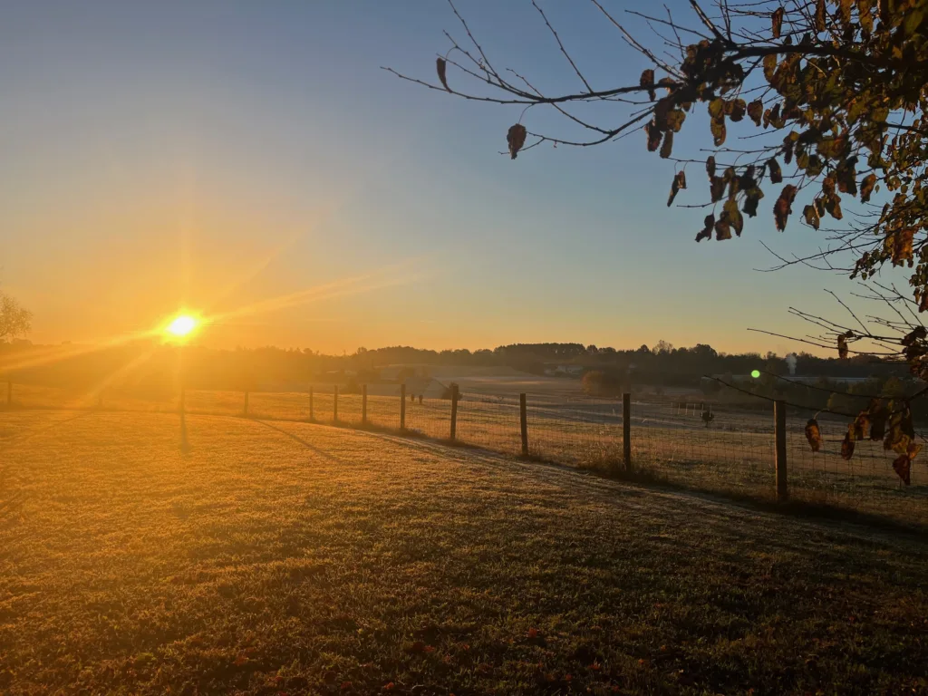 A sunrise over a frosty field with a wooden fence running through it; trees with autumn leaves are in the foreground, and the sky is clear, casting a warm golden light across the landscape.